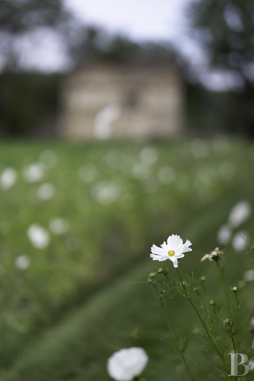 En Mayenne, au sud de Laval, un ancien établissement de blanchissage dans un domaine de 180 hectares - photo  n°3